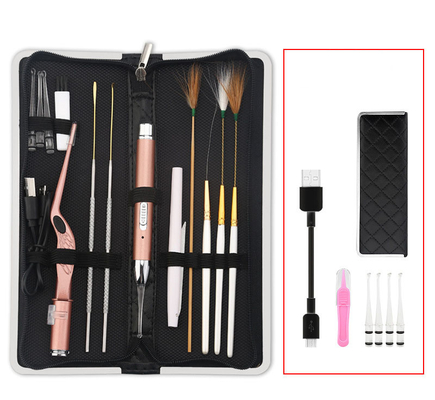13PCS in 1 uso portatile di viaggio del Ministero degli Interni del pulitore di legno d'acciaio dell'orecchio del metallo del vestito