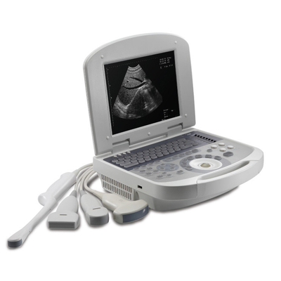 computer portatile canino Digital di Vaginal Probe Veterinary Medical Supplies della macchina di ultrasuono di 40mm