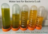 100 batteri di PLA delle strisce provano il corredo, strisce test dell'ANIMALE DOMESTICO la E Coli